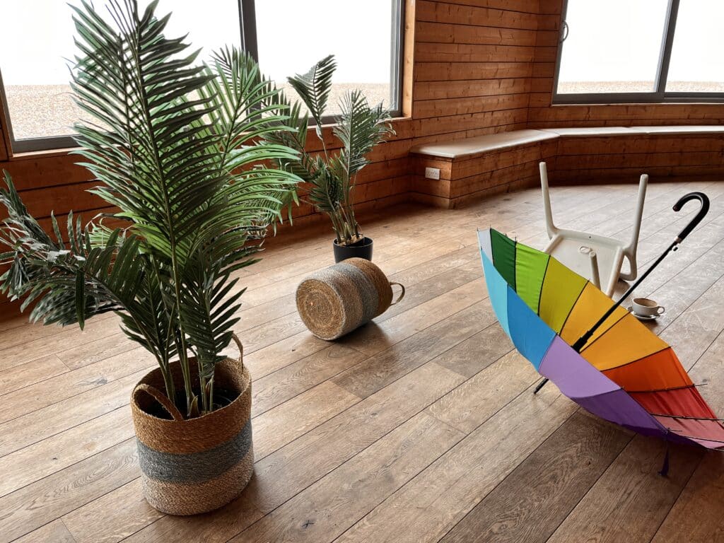 Plants and umbrella on bright wooden floor at Yellowave.