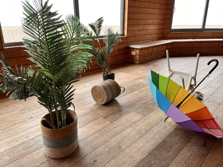 Plants and umbrella on bright wooden floor at Yellowave.